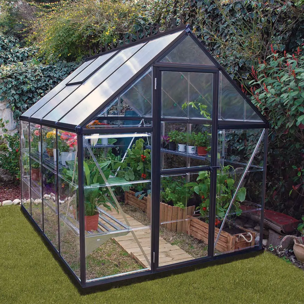 greenhouse in backyard