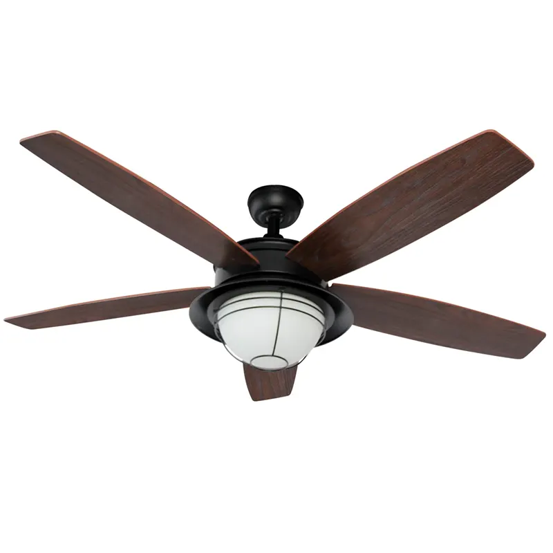 Braylin Ceiling Fan